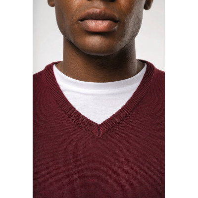 Men's V-neck jumper
