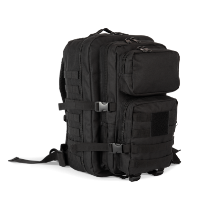 M.O.L.L.E. backpack