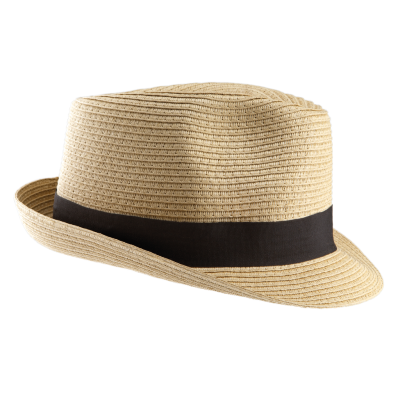 Panama hat