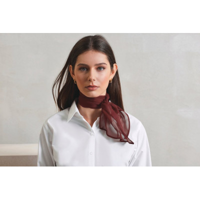 Chiffon Scarf