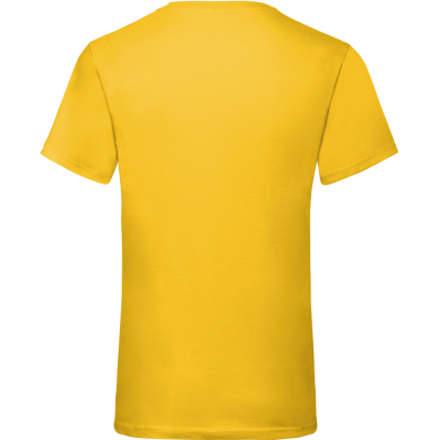 T-shirt valueweight com decote V (61-066-0)