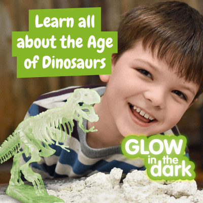 Fossil Excavation Kit I. Educational game for children